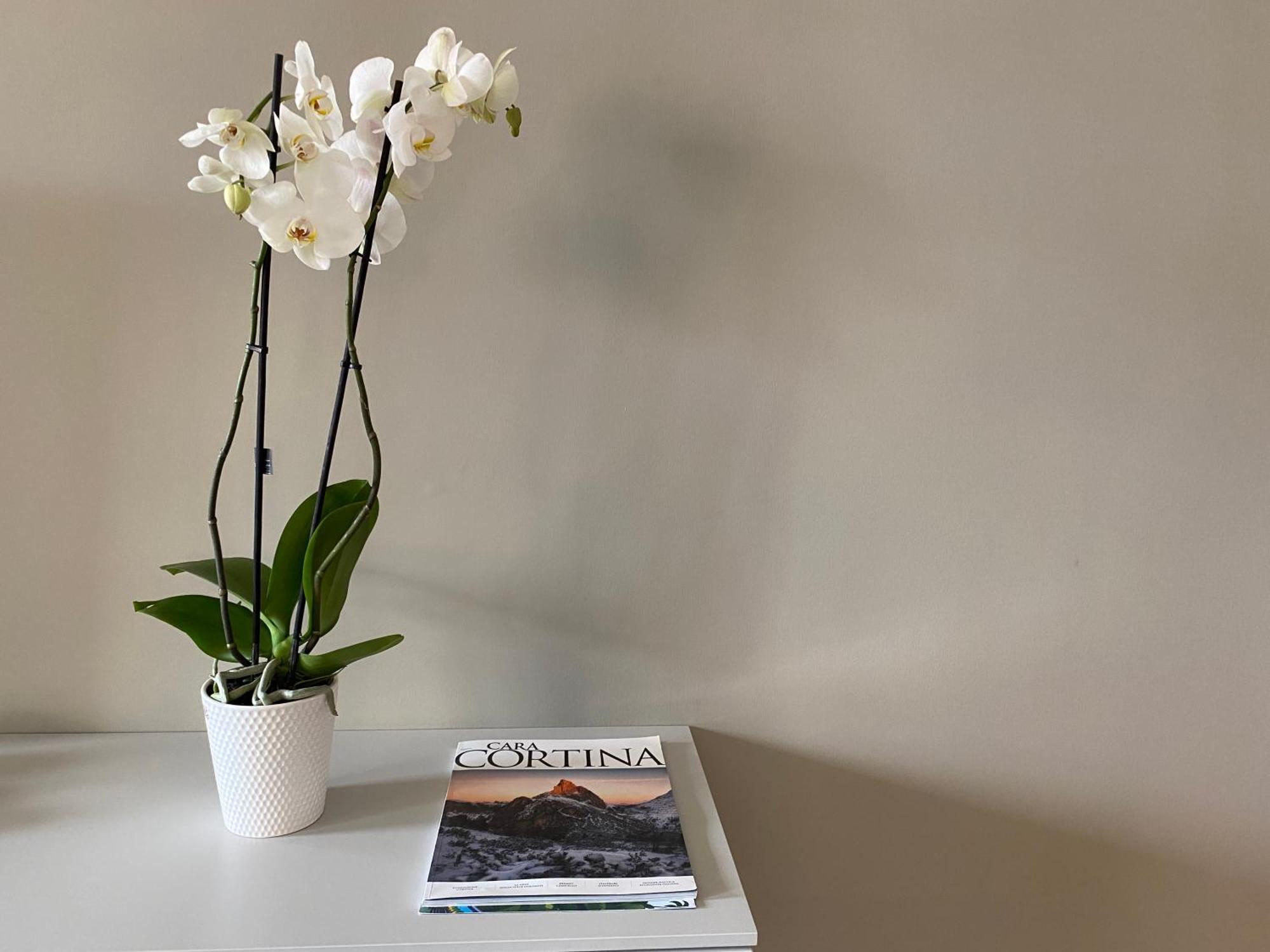 Apartament Julie'S House Lecce City Center Zewnętrze zdjęcie
